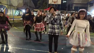 QUADRILHA - TERCEIRÃO - 2025